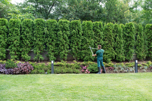 Best Soil Testing and Treatment  in Bridgewater Center, NJ