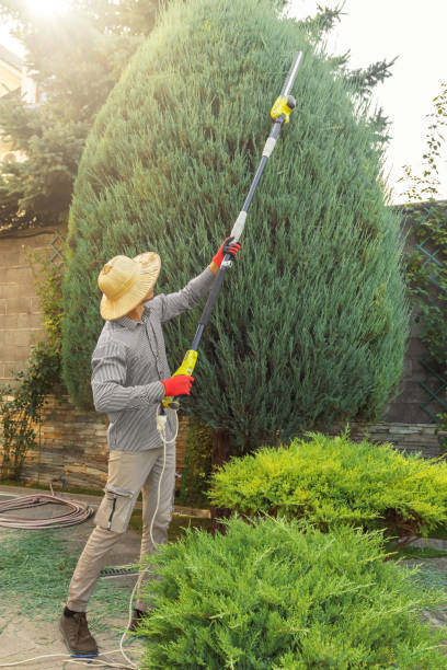 Best Utility Line Clearance  in Bridgewater Center, NJ